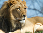 FWChildrenZoo