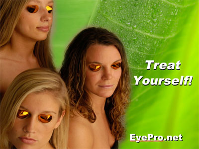 EYE PRO 2011 Online Salon Training